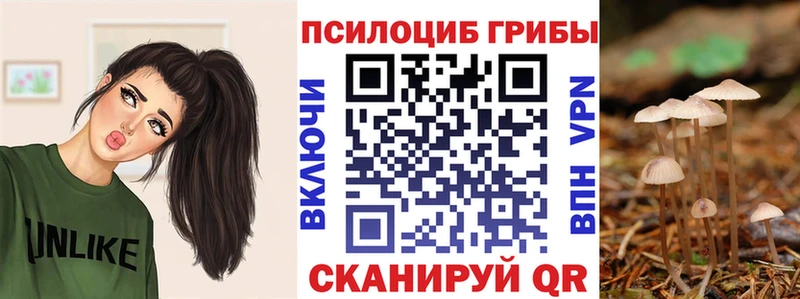 Псилоцибиновые грибы GOLDEN TEACHER  мега маркетплейс  Дрезна  продажа наркотиков 